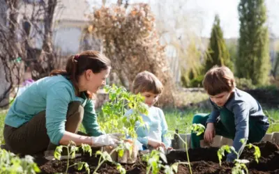 How Physical Therapy Can Help You Get Healthier